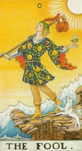 card-13