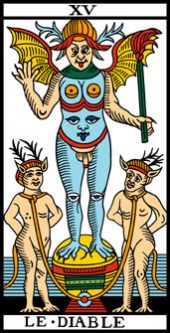 card-6
