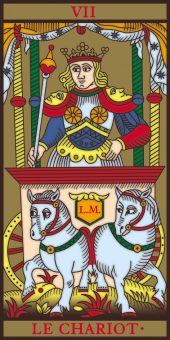 card-8