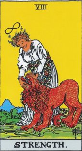 card-22