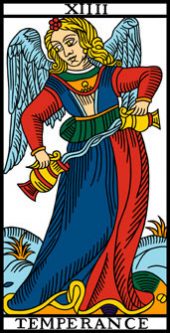 card-12