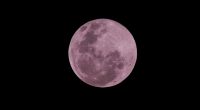 Descubre cómo te afecta la Luna Llena en Sagitario de junio 2025, también conocida como Luna de Fresa. Cierre de ciclos, motivación, expansión emocional y signos más impactados. ¡Conecta con tu verdad!