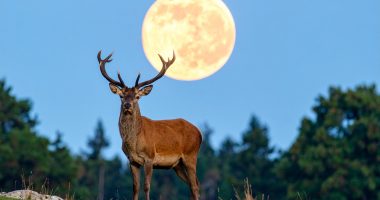 ¡Prepárate! La Luna Llena en Capricornio del 10 de julio traerá cambios que no podrás ignorar